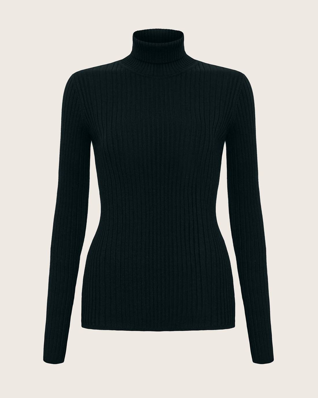 Ribbed turtleneck 